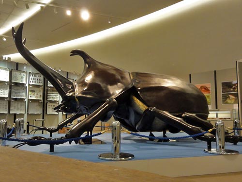 カブトムシの巨大展示模型1