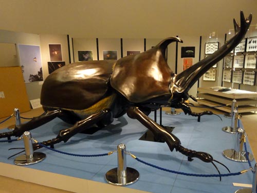 カブトムシの巨大展示模型2