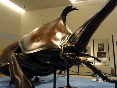 カブトムシの巨大展示模型3
