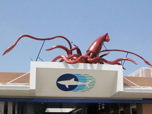 屋外展示巨大ダイオウイカの造形