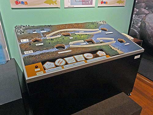 うなぎと鮭の回遊解説展示パズル1
