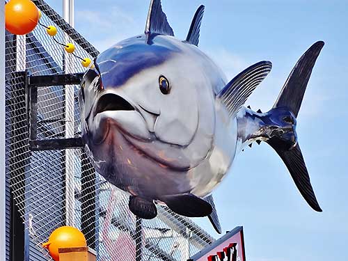 5mのまぐろの屋外看板2