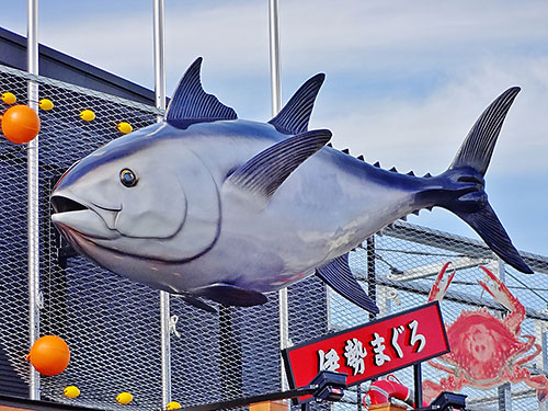 5mのまぐろの屋外看板1