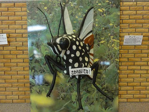 FRP製アサギマダラの模型