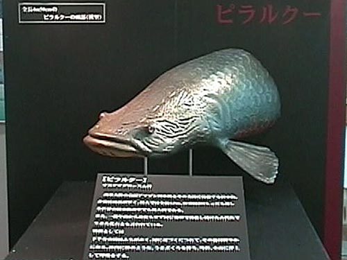 イベントディスプレー用「ピラルク」の造形2