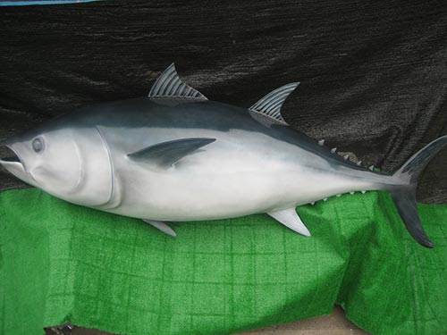 FRP製マグロの造形1