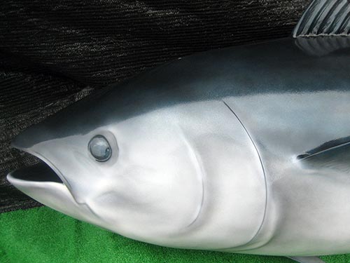 FRP製マグロの造形2