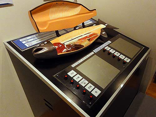 鮭の臓器の展示模型2