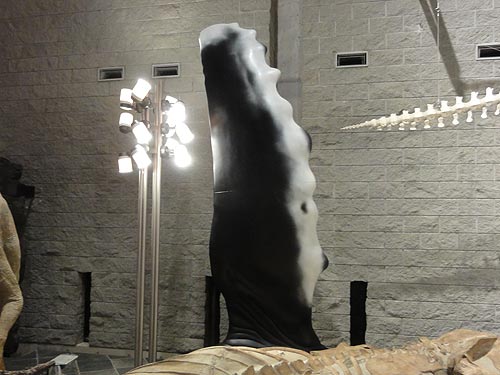 ザトウクジラのヒレの巨大展示模型2