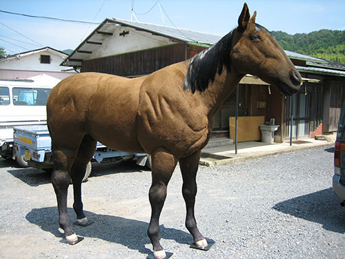 馬の立体造形1