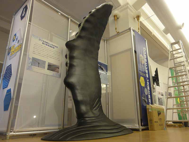 ザトウクジラのヒレの巨大模型