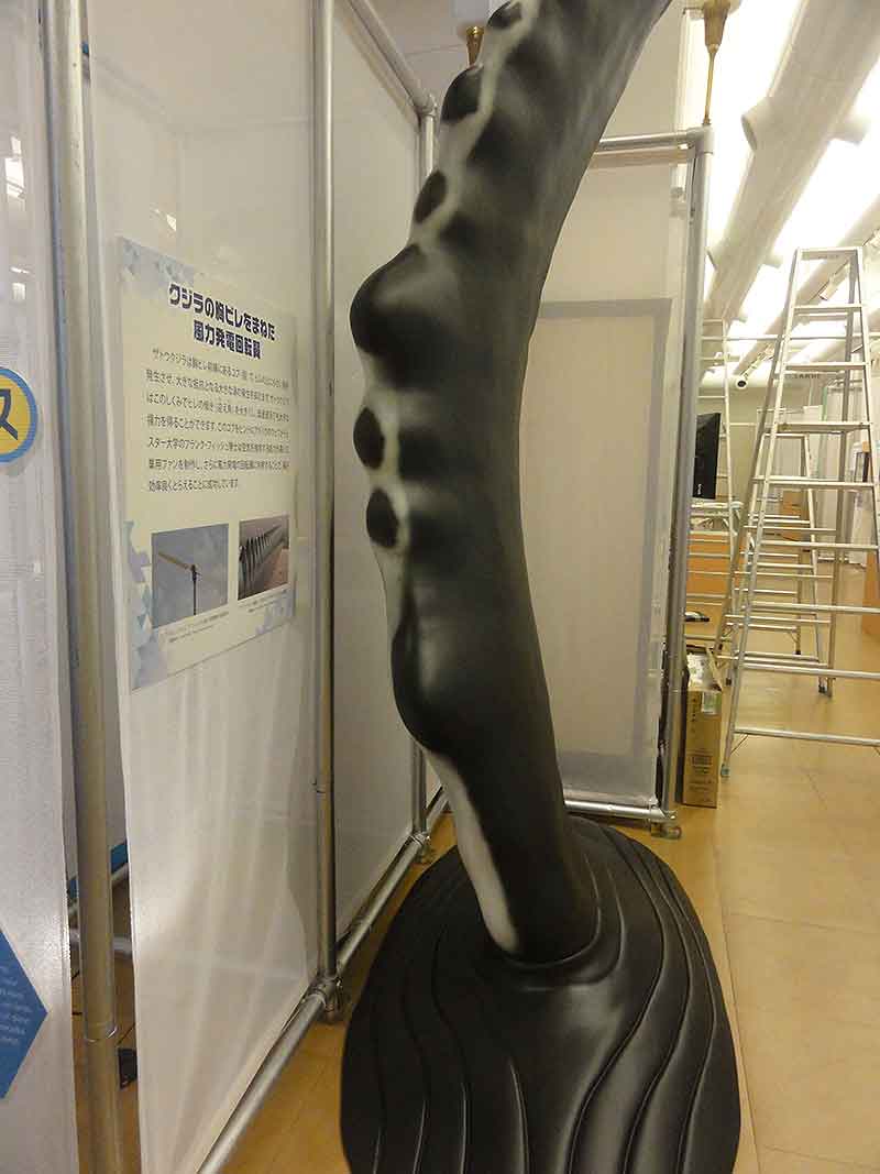 国立科学博物館のザトウクジラのヒレの模型3