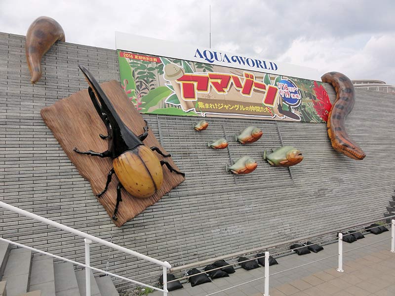 アクアワールド茨城県大洗水族館の夏期特別企画「アマゾン」