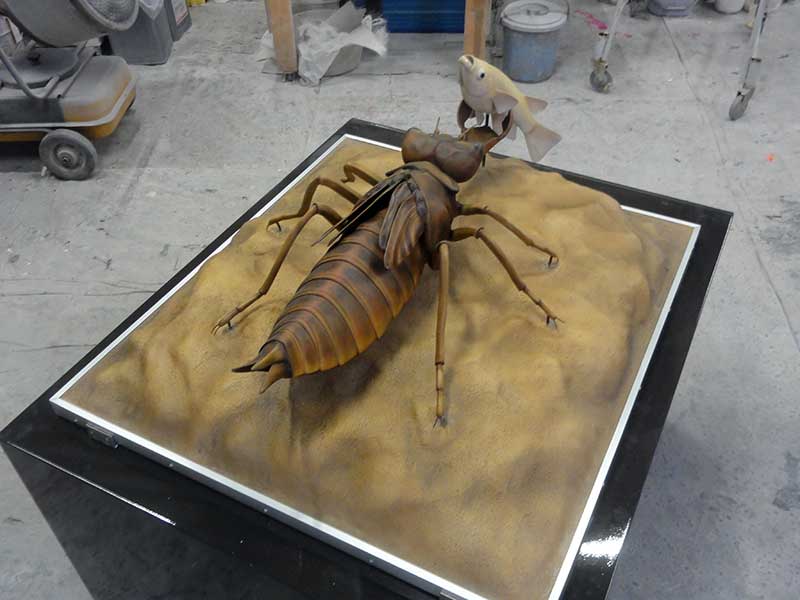 ヤゴの展示模型4