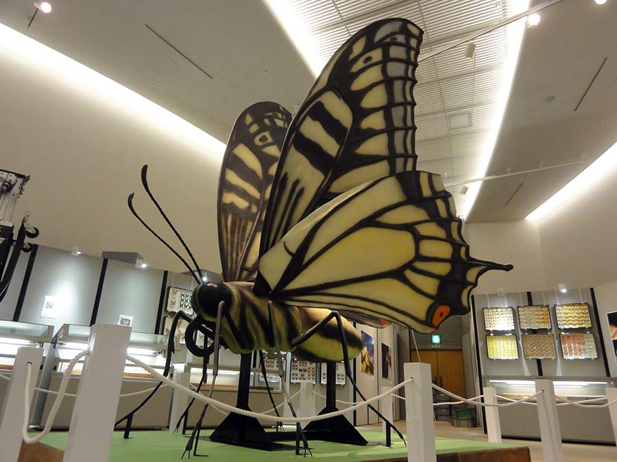 アゲハチョウの巨大展示模型