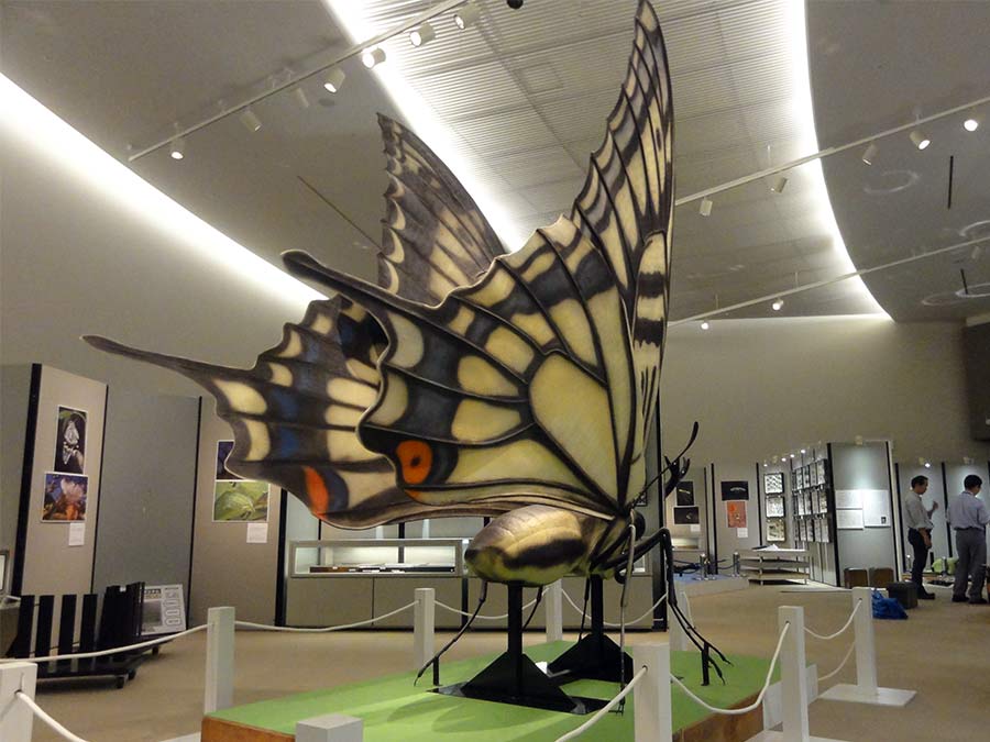 アゲハチョウの巨大展示模型