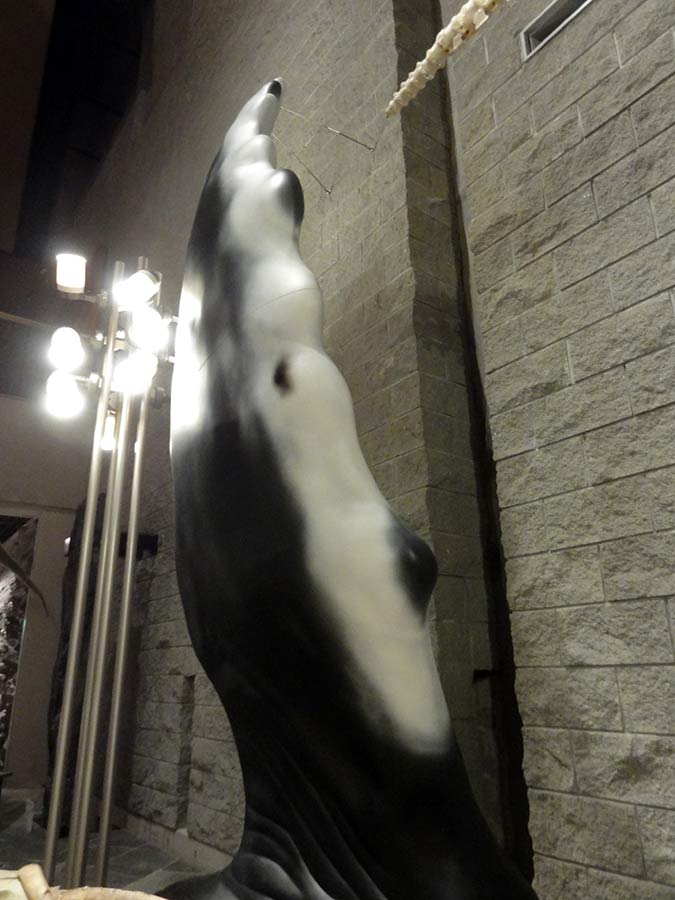 ザトウクジラのヒレの立体造形