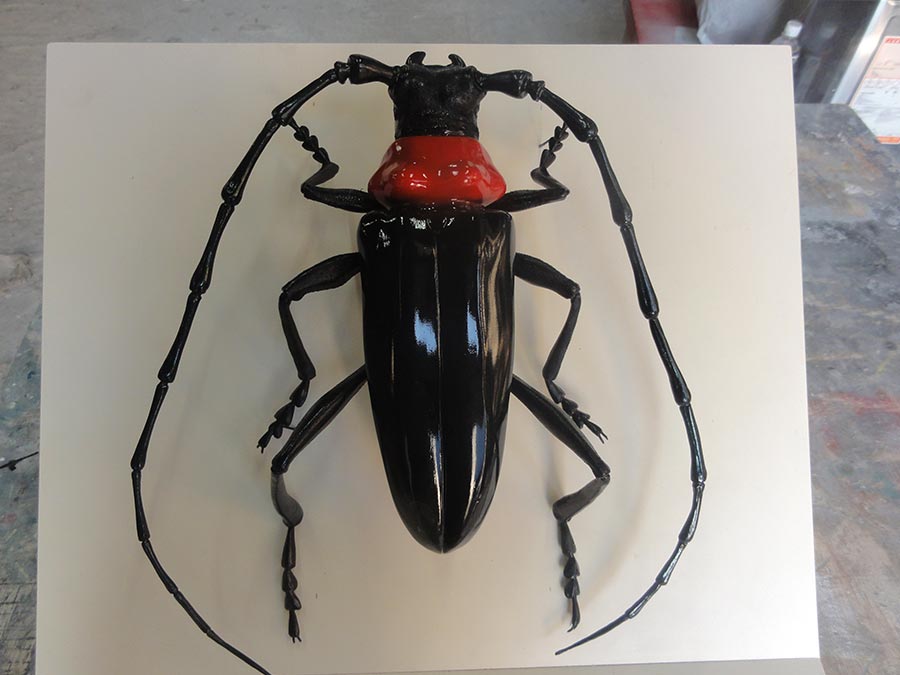 クビアカツヤカミキリの昆虫模型