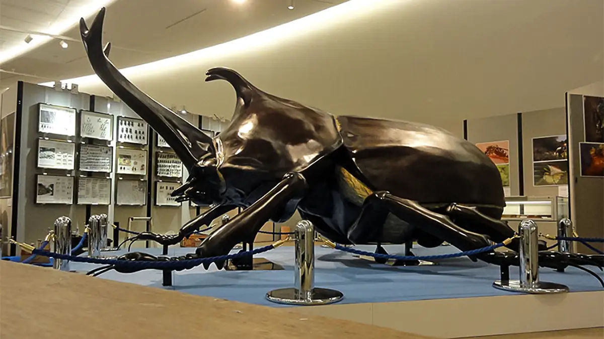 国立科学博物館 特別展「昆虫 MANIAC」の巨大昆虫模型を製作しました