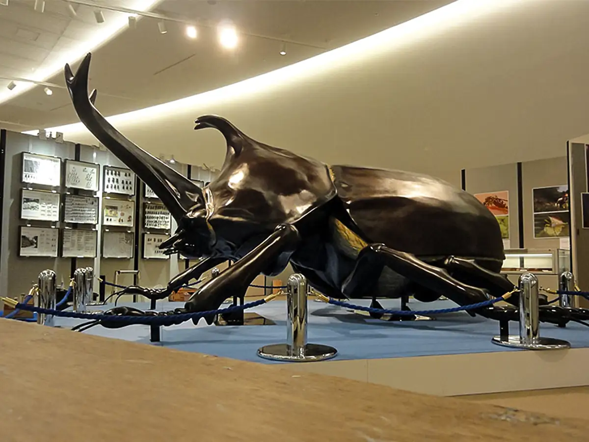 beetle-model-thumbnail43.webp
