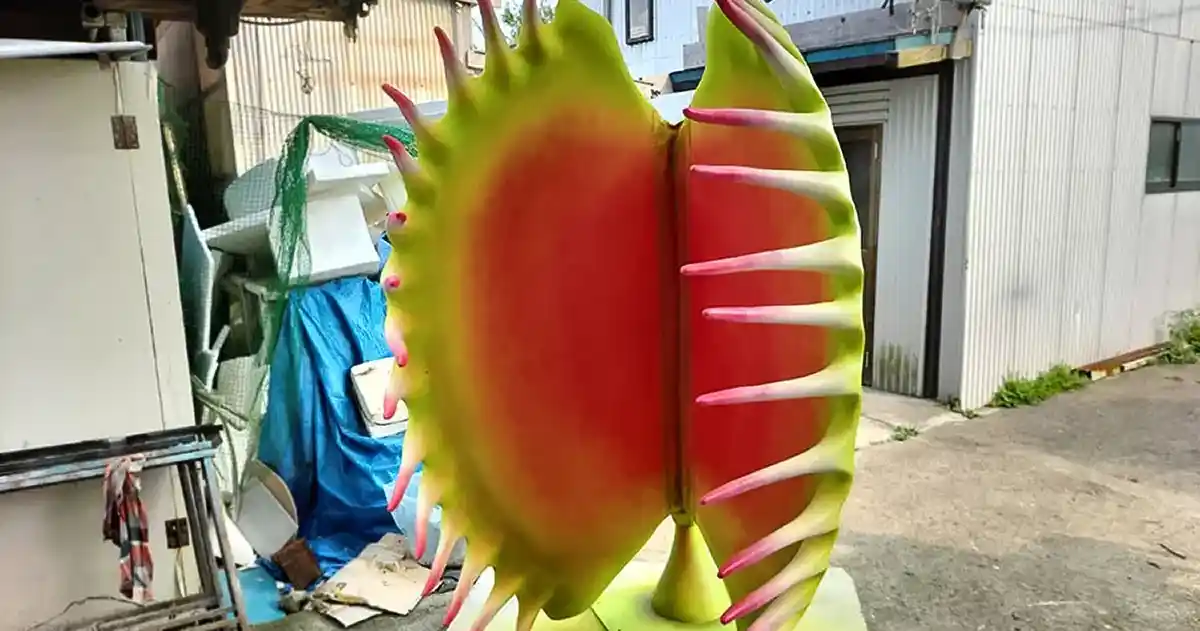 巨大食虫植物「ハエトリソウ」のフォトスポット