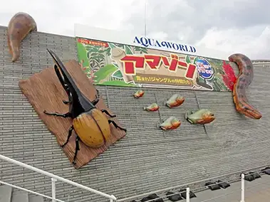 立体造形(アマゾン)